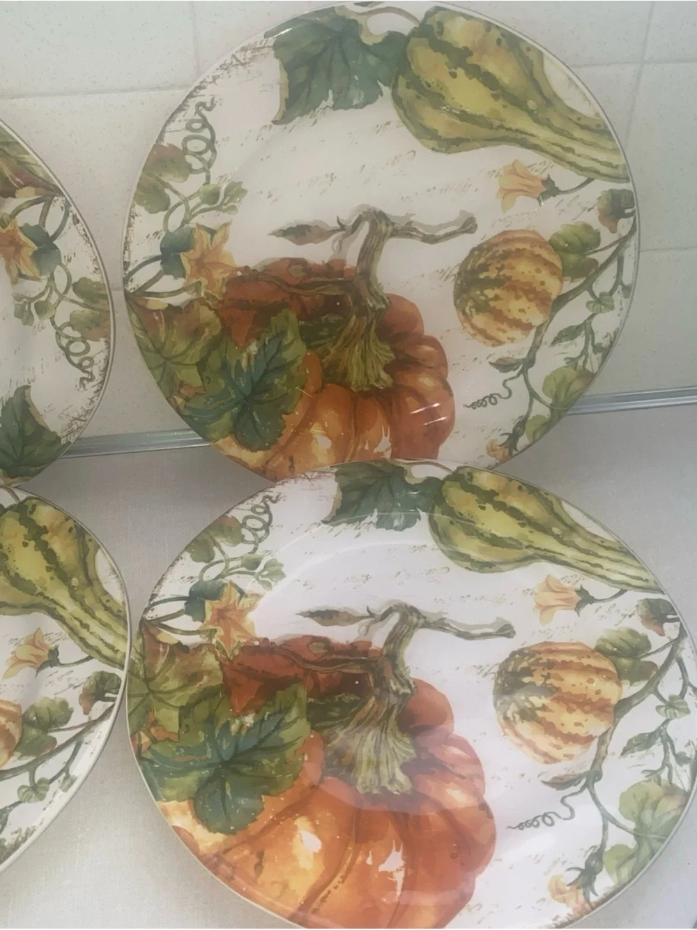 Pier 1 Pumpkin Patch Dinner Plates Set of 4 Earthenware Fall Thanksgiving